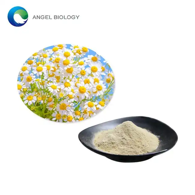 How Does Chamomile Extract Powder Help With Inflammation?